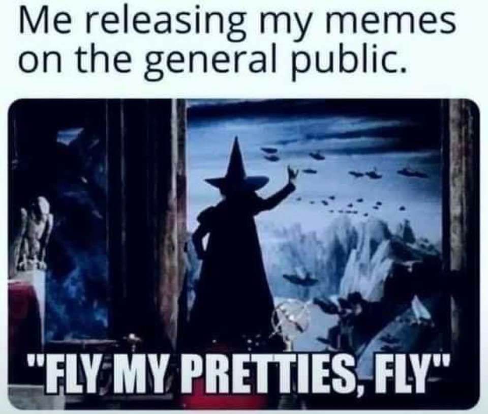 Me releasing my memes on the general public Y FIV MY PRETTIESFLY