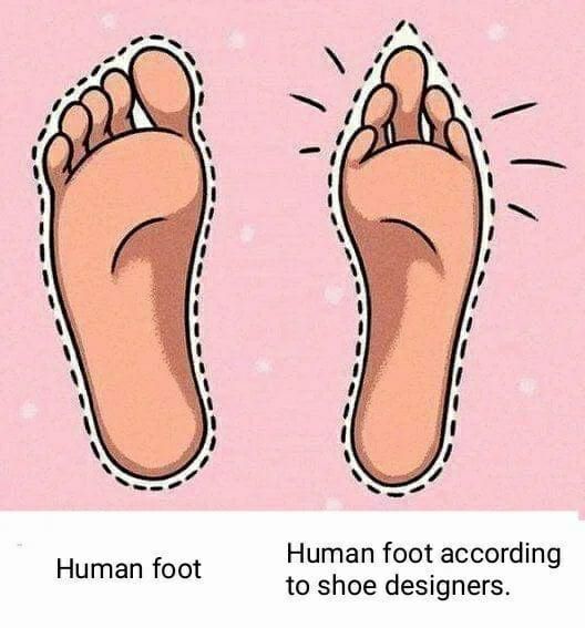 Human foot according to shoe designers Human foot