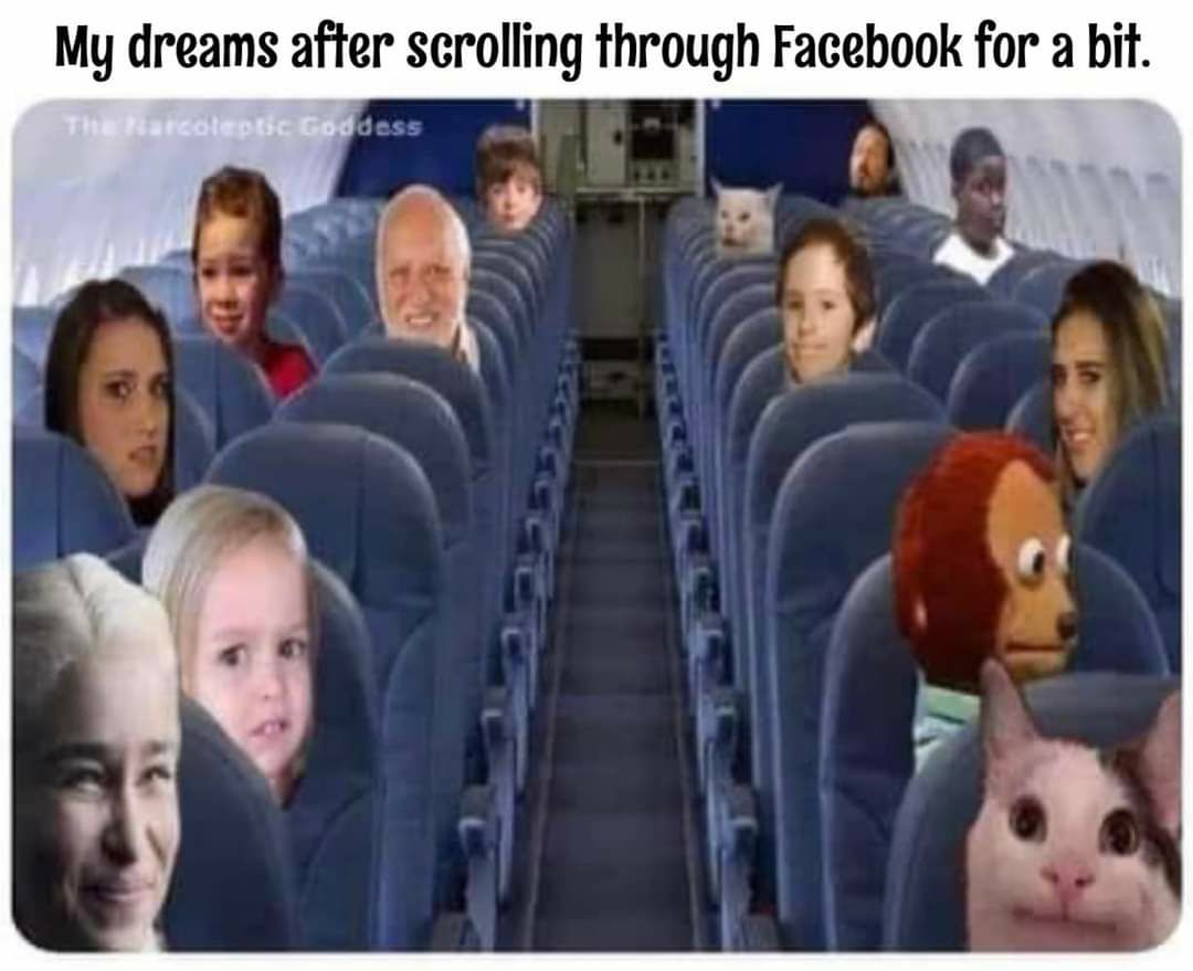 My dreams after scrolling through Facebook for a bit