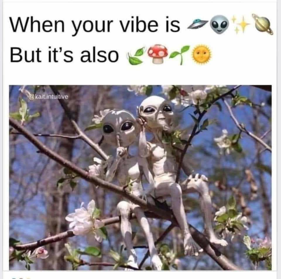 When your vibe is 6 But its also
