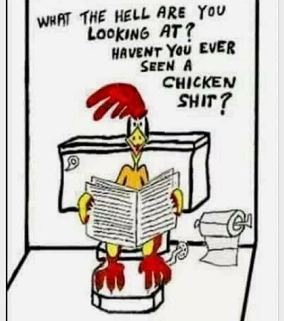 WHAT THE HELL ARE You Lookine AT T HAVENT You EVER SEEN A