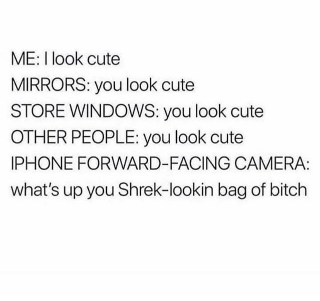 ME I look cute MIRRORS you look cute STORE WINDOWS you look cute OTHER PEOPLE you look cute IPHONE FORWARD FACING CAMERA whats up you Shrek lookin bag of bitch