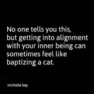 No one tells you this GNE CRI AR GENT O I ERT with your inner being can sometimes feel like baptizing a cat michelle kay