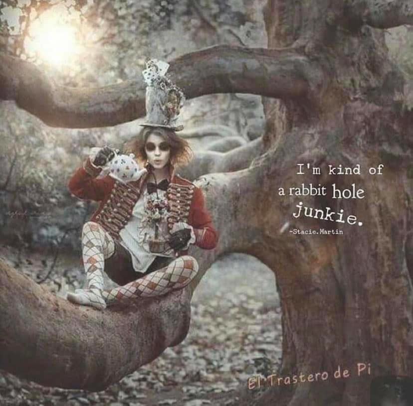 Im kind of arabbit hole Junkie v