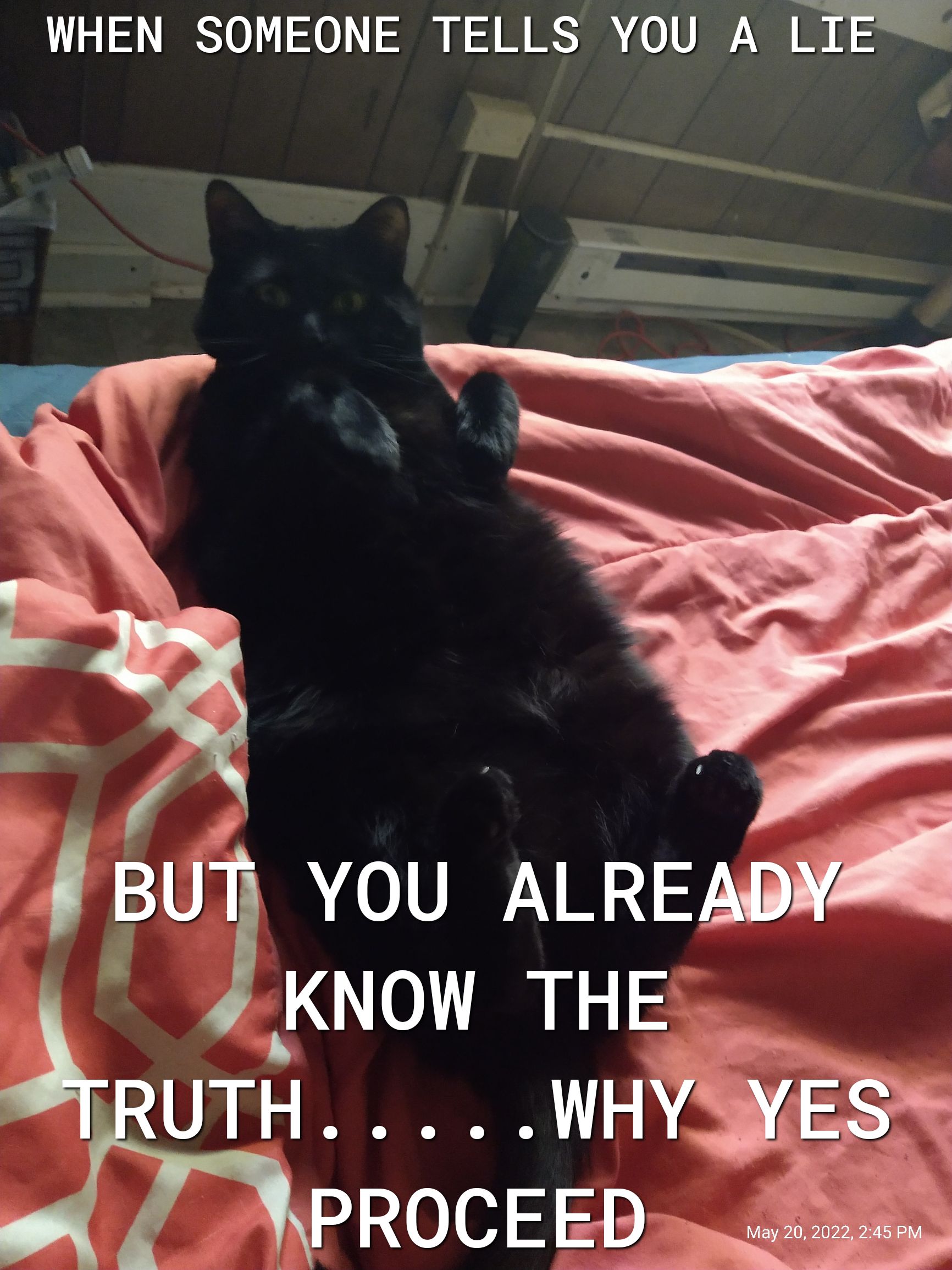 WHEN SOMEONE TELLS YOU A LIE