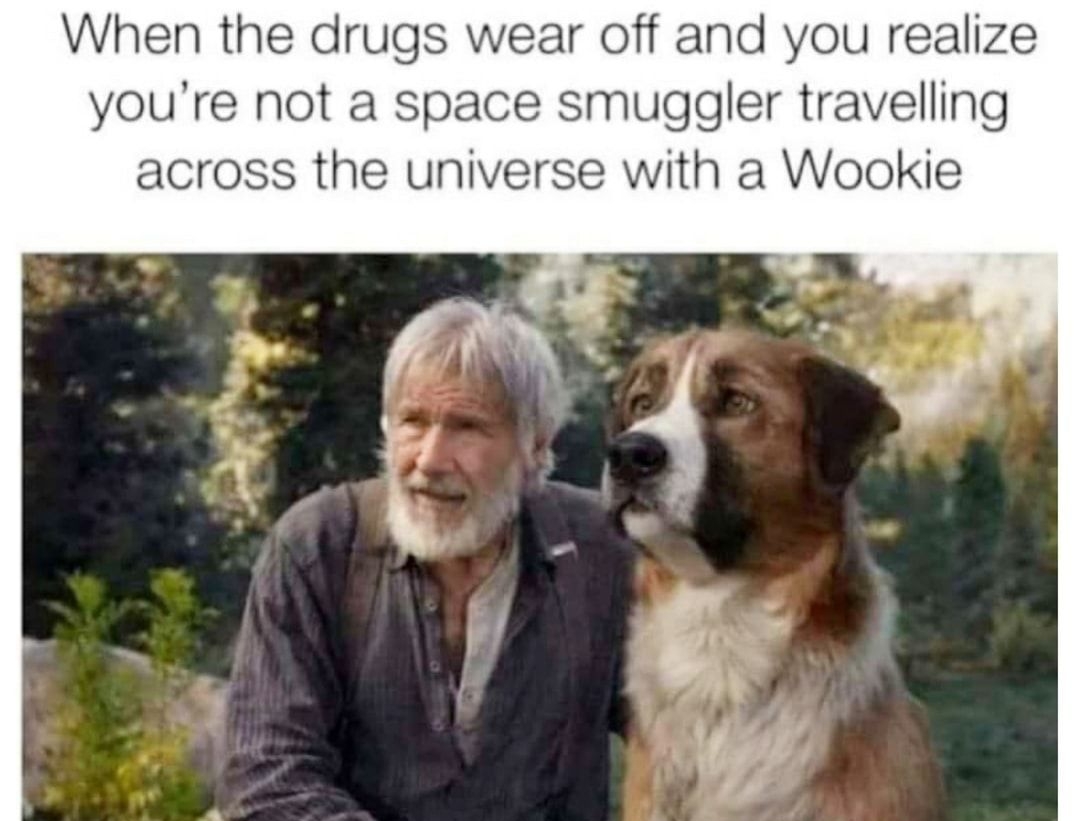 When the drugs wear off and you realize youre not a space smuggler travelling across the universe with a Wookie