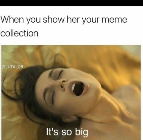 When you show her your meme collection LuTALOB Its so big