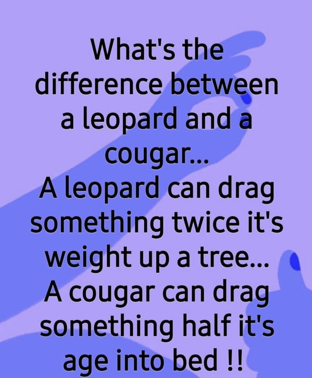 Whats the difference between aleopard and a cougar A leopard can drag something twice its weight up a tree 4 A cougar can drag something half its age into bed