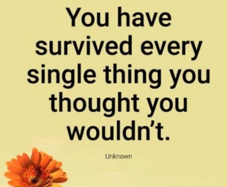 You have survived every single thing you thought you wouldnt 3