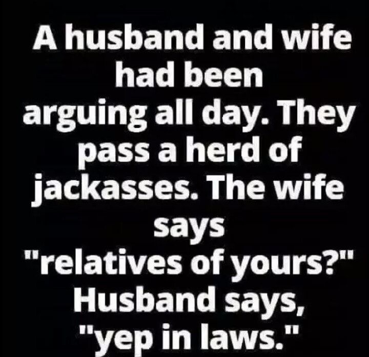 T EN LT TRV GELE LT arguing all day They EEEL GG K JEL T 00 1 CRT T says R GLELEER AT T ey GTHELL RS yep in laws