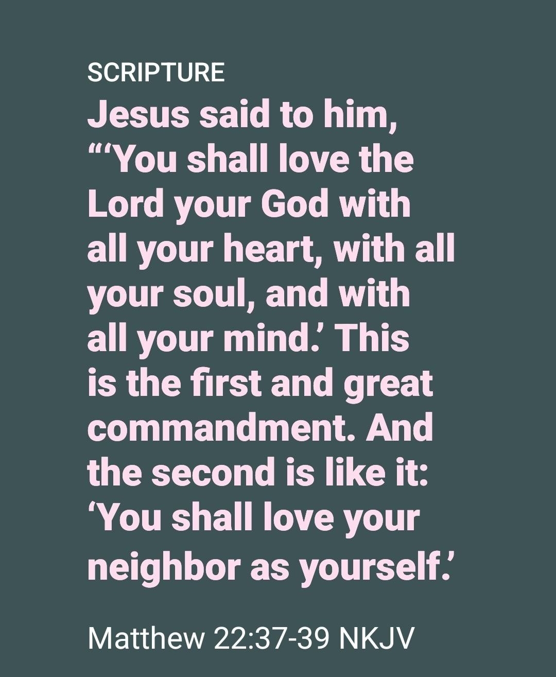 SCRIPTURE Jesus said to him i CITE BN TR TS Lord your God with EURL I CE T AT LTI T T T R LRI T T B G TES is the first and great commandment And the second is like it You shall love your neighbor as yourself RGN rRYESPEN 1Y