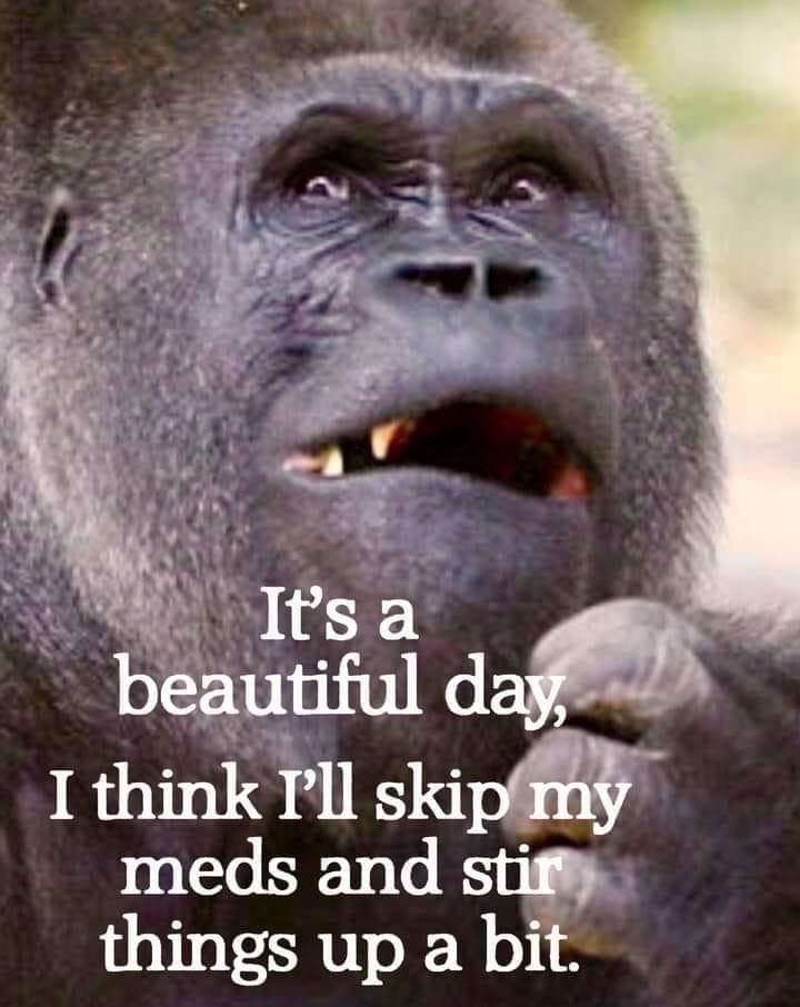 I thmkll skIM meds and 10V101R0 o Wo i