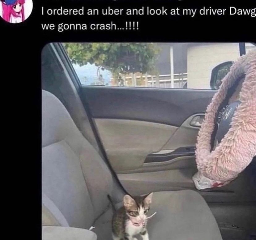 ordered an uber and look at my driver Daw we gonna crash