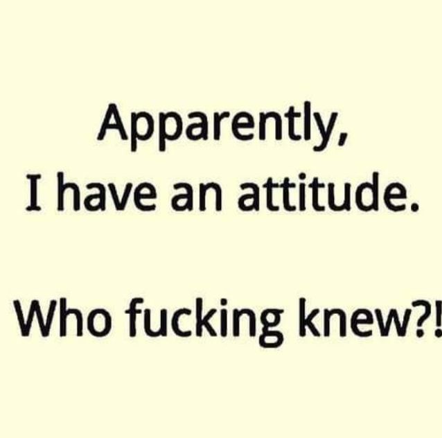 Apparently I have an attitude Who fucking knew