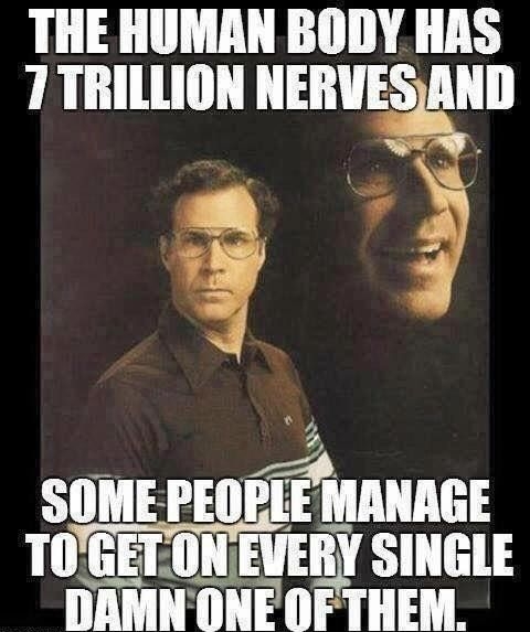 THE HUMAN BODY HAS TTRILLION IIEIWESHII N b5 i J SOME IEllllE MANAGE L 3K llll MI_Y SINGLE