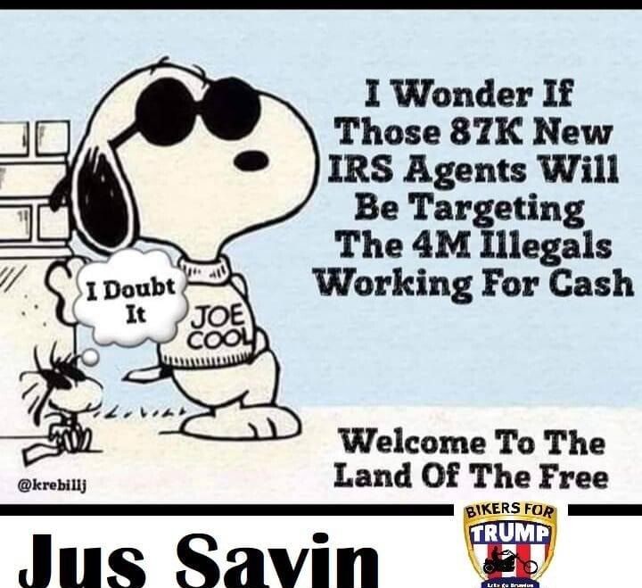 I Wonder If Those 87K New IRS Agents Will Be Targeting The 4M Illegals Welcome To The Land Of The Free Juus Savin I