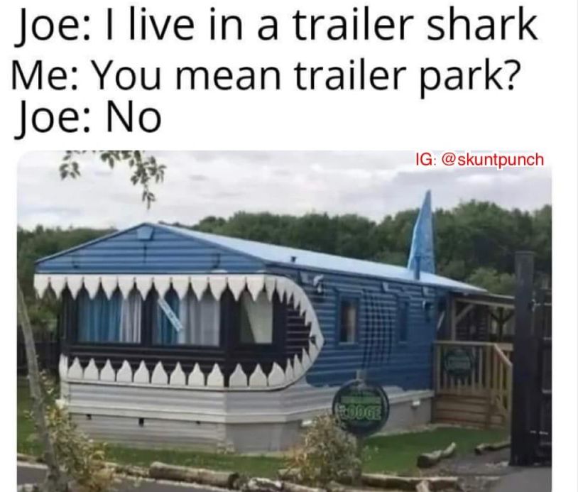 Joe I live in a trailer shark Me You mean trailer park Joe No a h IG skuntpunch