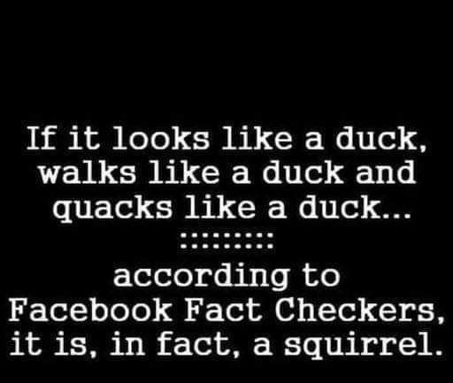 If it looks like a duck U CILER AL CR Welile 1L UETel ERELCR WeliTe N FTololo oo i sTo i o Tl o oTo Tl 34 Ted B it is in fact a squirrel