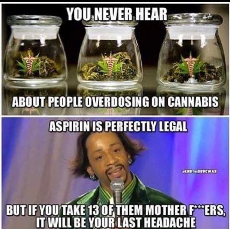 e YOUNEVER HEAR sz f g i y w A o SR IBVIIPITPEIIPLE QUERBSIG ON CANNABIS ASPIRINIS PERFECTLY LEGAL y 8 AN BUTIFYOUTAKE 13 OFTHEM MOTHER FERS ITWILLBE YOUR LAST HEADACHE