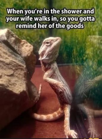 When youre in the shower and SCITAVH CATETLT RS T gotta remind LELIALE goods 0 7