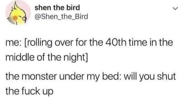 shen the bird v Shen_the_Bird me rolling over for the 40th time in the middle of the night the monster under my bed will you shut the fuck up