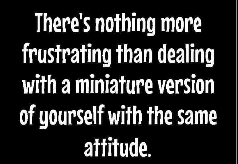 Theres nothing more frustrating than dealing with a miniature version of yourself with the same atfitude