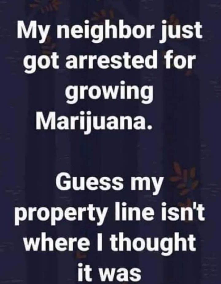 LT T T TES RN ELRTY growing VETENER Guess my property line isnt VL CRRUTTT it was