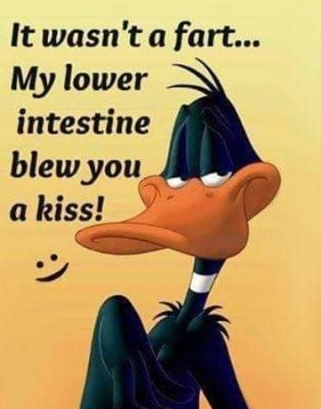 It wasnt a fart My lower intestine blew you a kiss