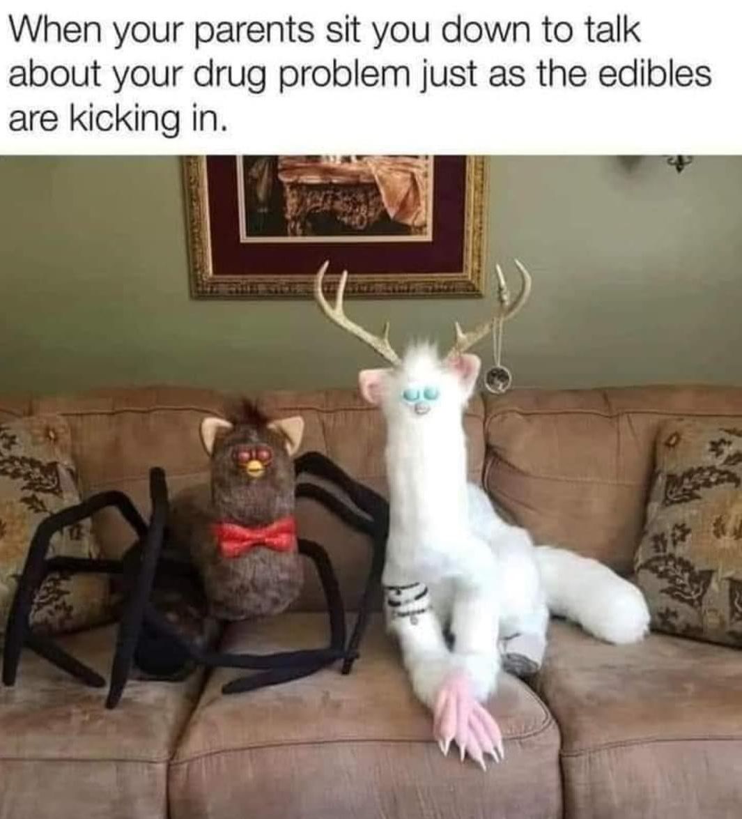 your parents sit you down to talk about your drug problem just as the edibles are kicking in