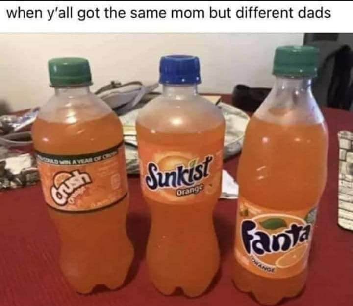 when yall got the same mom but different dads