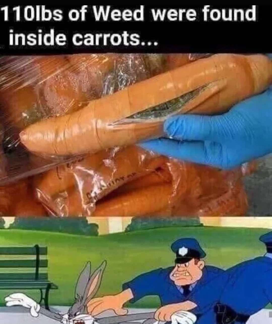 110Ibs of Weed were found inside carrots T 225