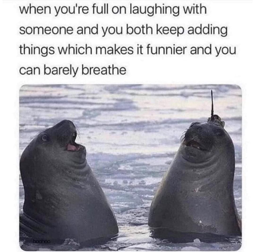 when youre full on laughing with someone and you both keep adding things which makes it funnier and you can barely breathe