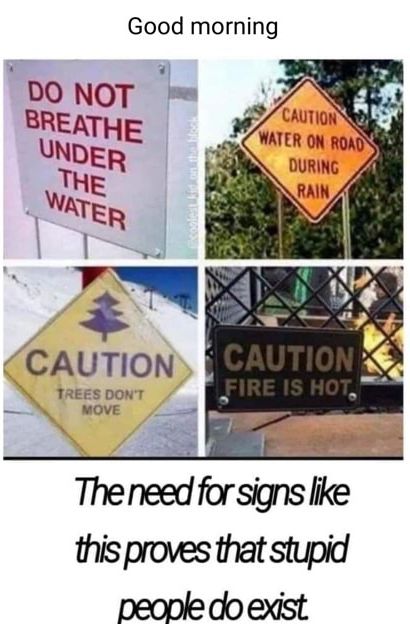 Good morning TREES DONT N MOvE