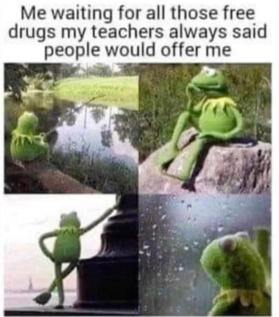 Me waiting for all those free drugs my teachers always said people would offer me