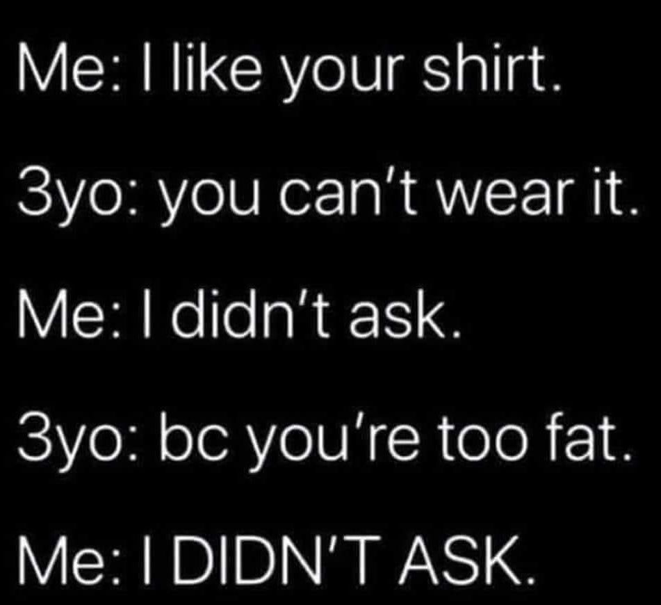 Me like your shirt 3yo you cant wear it Me didnt ask 3yo bc youre too fat Me DIDNT ASK