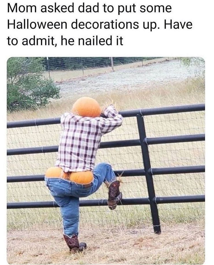 Mom asked dad to put some Halloween decorations up Have to admit he nailed it