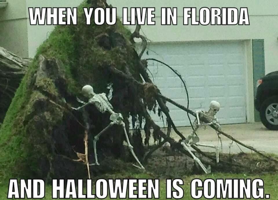 Vwuzu YOULIUEINFLORIDA s I