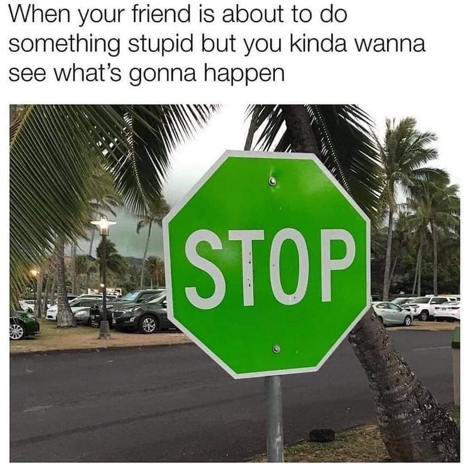 When your friend is about to do something stupid but you kinda wanna see whats gonna happen