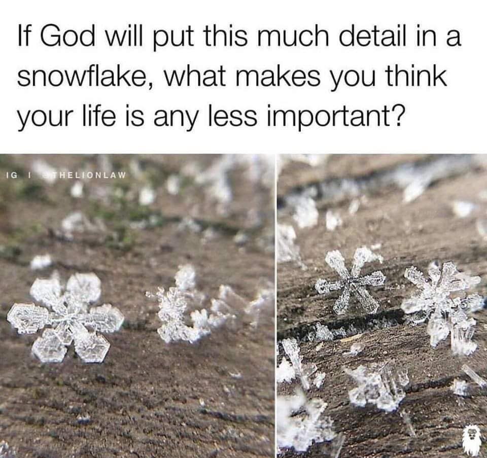 If God will put this much detail in a snowflake what makes you think your life is any less important