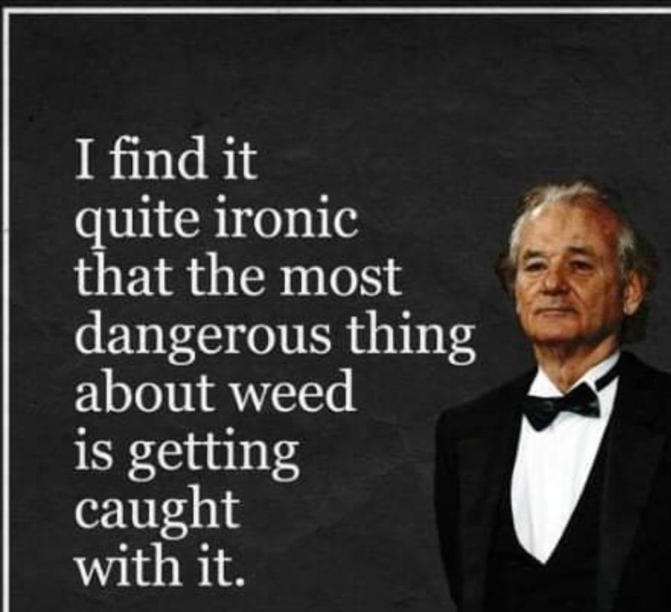 I find it quite ironic that the most dangerous thing about weed is getting caught with it a