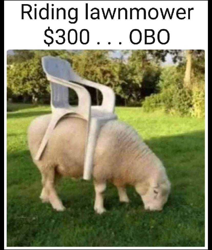 Riding lawnmower 300 0BO__