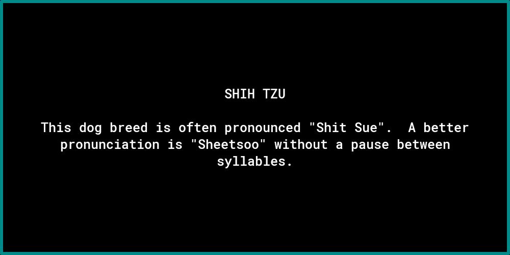 SHIH T2U This dog breed is often pronounced Shit Sue A better pronunciation is Sheetsoo without a pause between syllables