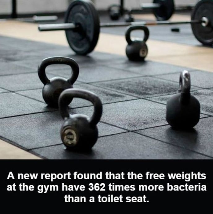 A new report found that the free weights at the gym have 362 times more bacteria LUELER 1 8