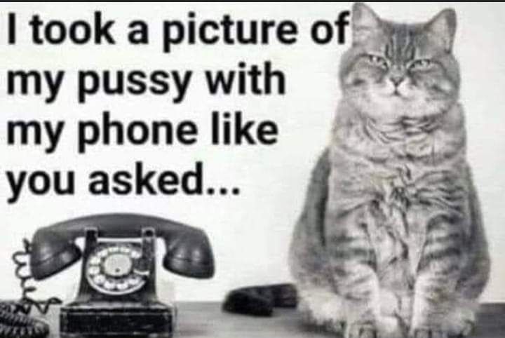took a picture of my pussy with Sas my phone like you asked