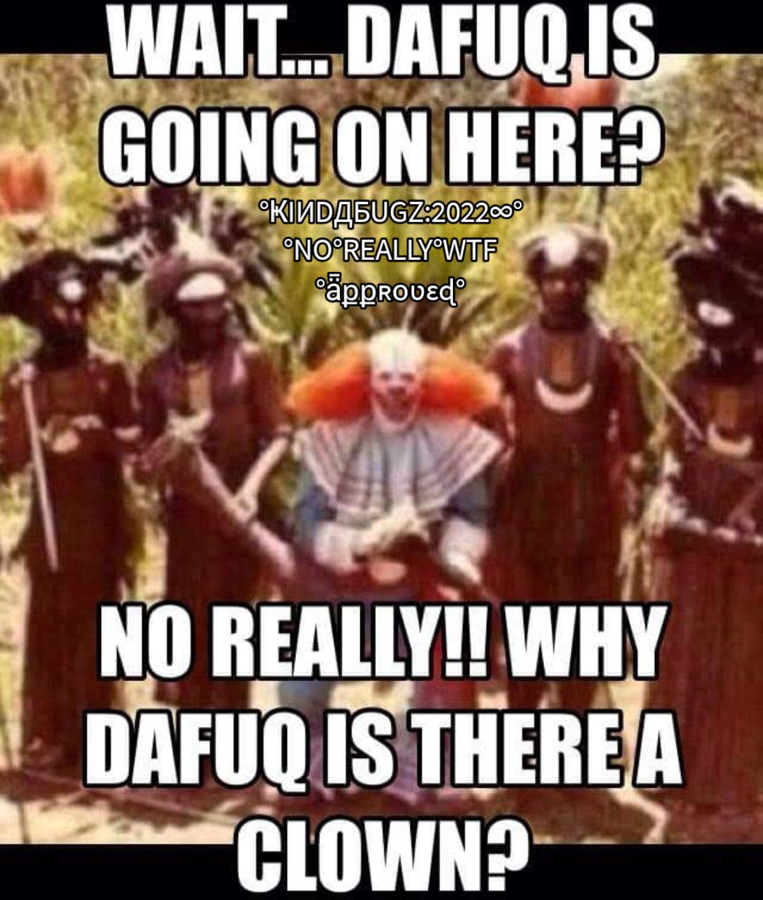 SWAIL DAFUQIS anmanu HERED g 1 h J 4 Q e NO REALLY1 WHY DRFUQIS mm b 0 OWND