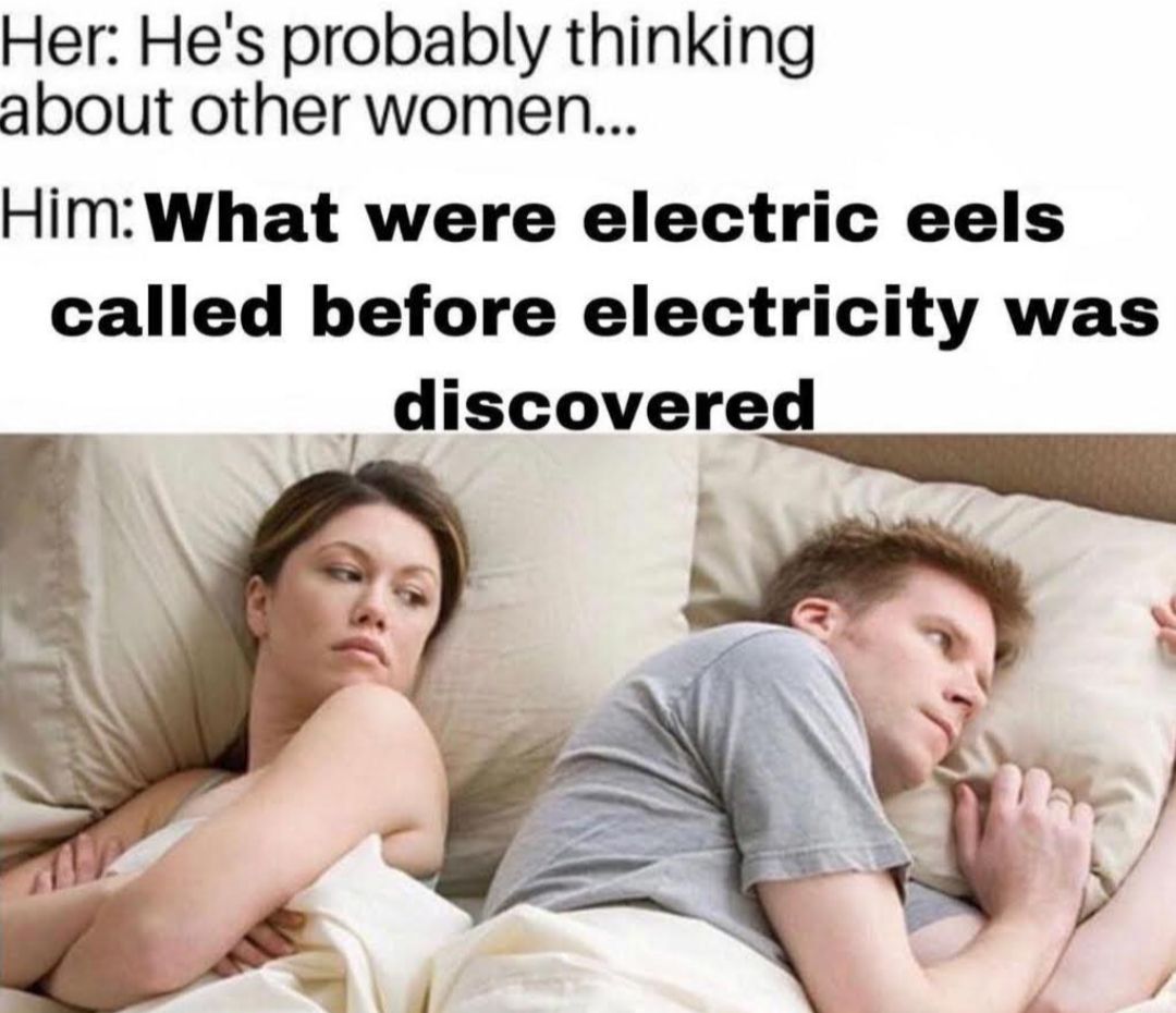 Her Hes probably thinking about other women HimWhat were electric eels called before electricity was discovered
