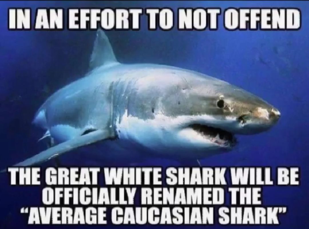 IN AN EFFORT TO NOT OFFEND THE GREAT WHITE SHARK WILL BE OFFICIALLY RENAMED THE T HAH U LUR T