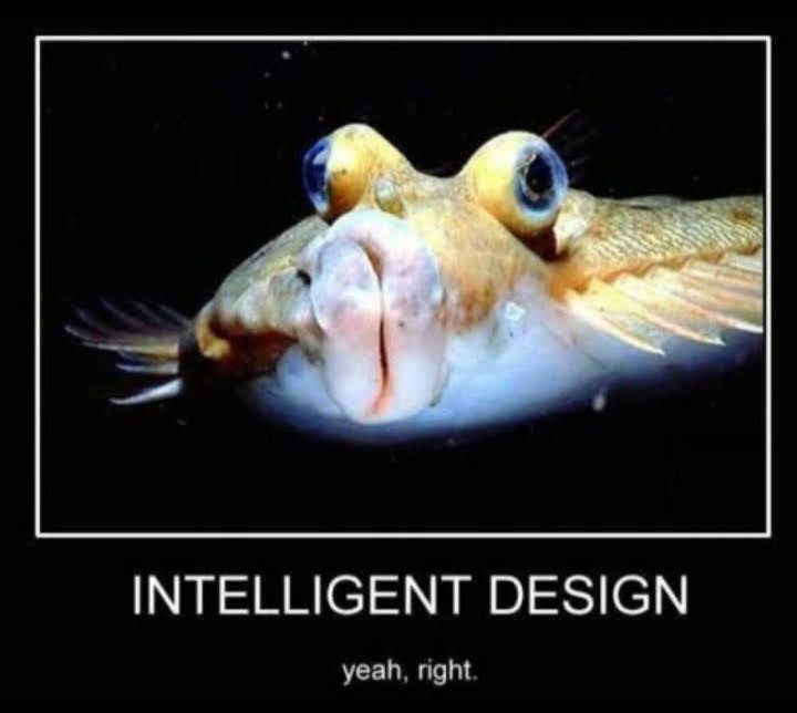 etV INTELLIGENT DESIGN yeah right