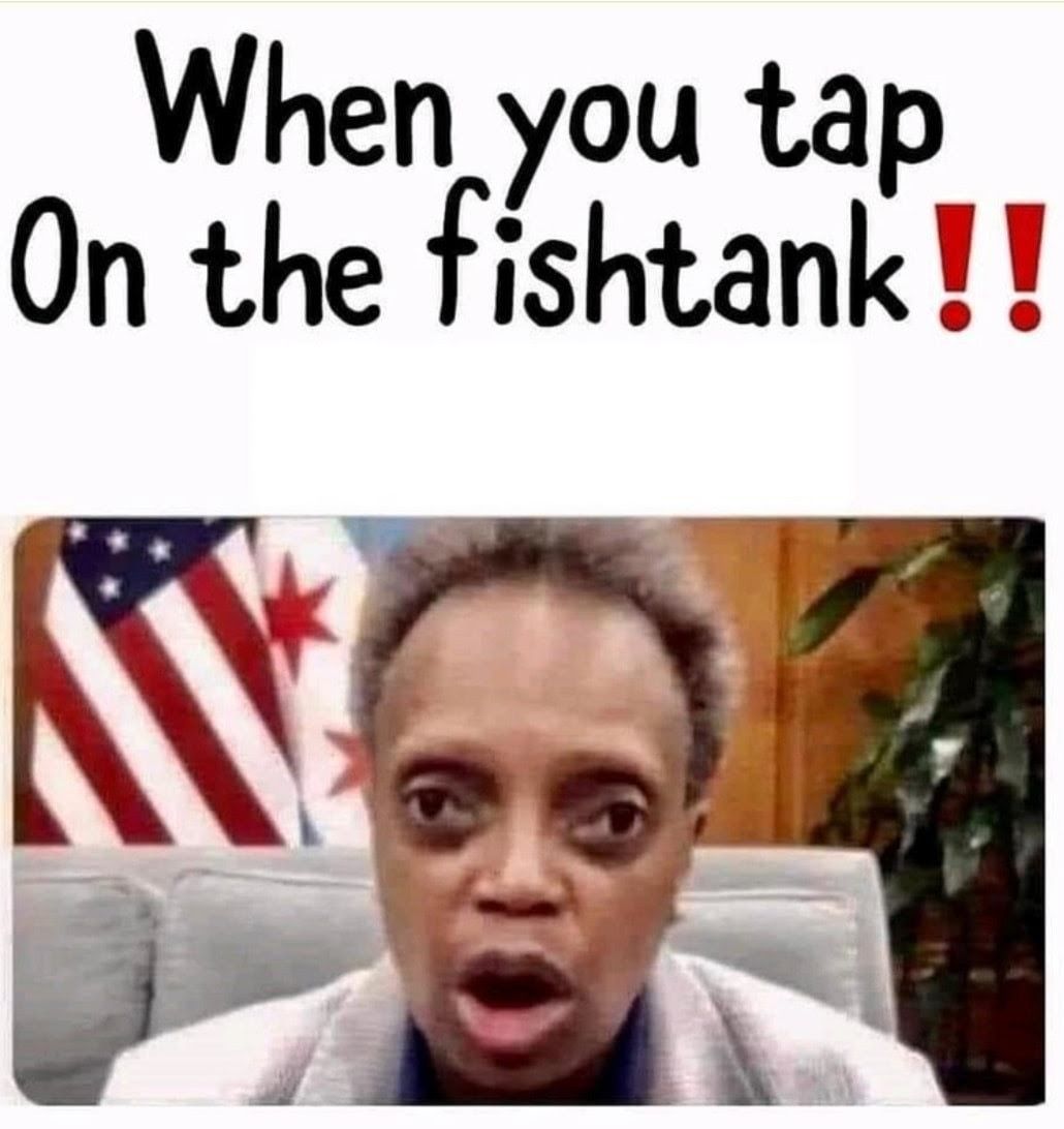 When you tap On the fishtank 1Y N R