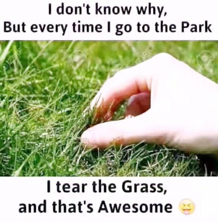 I dont know why But every time go to the Park I tear the Grass and thats Awesome